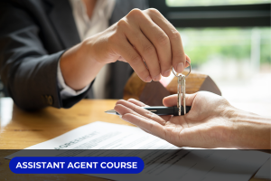 RealEstate-02 RealEstate-02